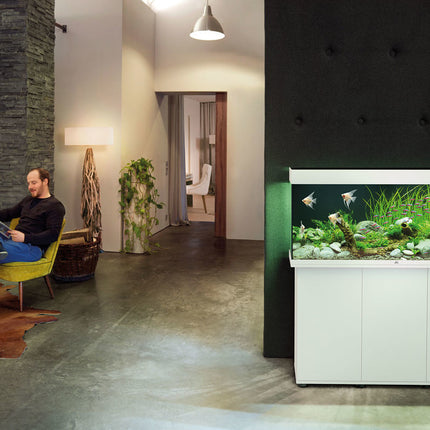 AnimalstoreXL Juwel Rio 240 LED Set Aquarium