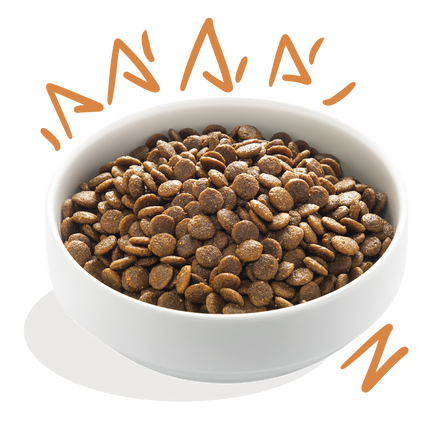 AnimalstoreXL Edgard & Cooper Brok Volwassen Hond Scharrelkip Graanvrij