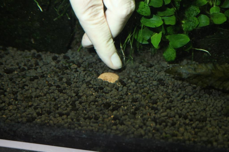 AnimalstoreXL Kleibollen 7 + 13 mestkogels