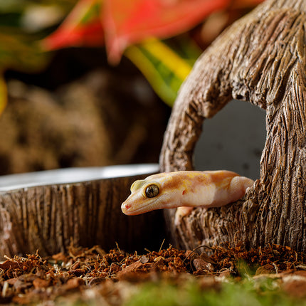 AnimalstoreXL Kokosgrot En Waterbak