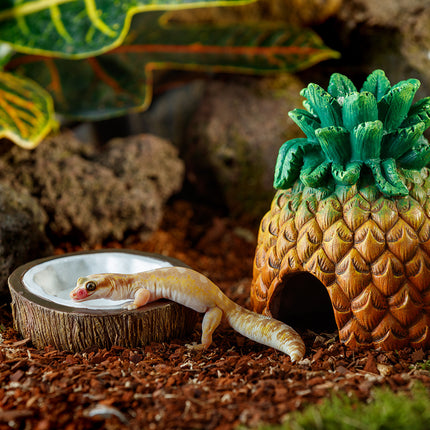 AnimalstoreXL Kokoswaterbak