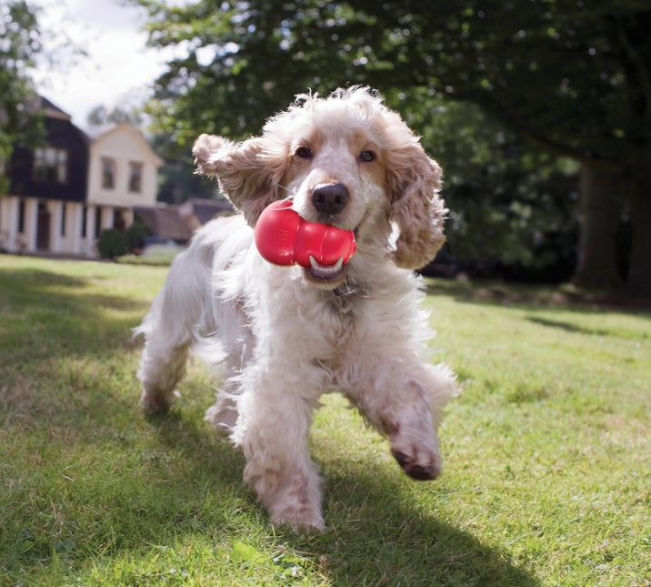 AnimalstoreXL Kong Classic Rubber Rood