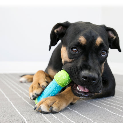 AnimalstoreXL Kong Corestrength Bone Medium Large