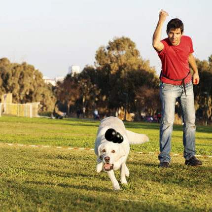 AnimalstoreXL Kong Extreme Rubber Zwart Small