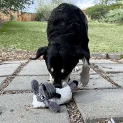 Kong Sherps Floofs Schaf Mittel