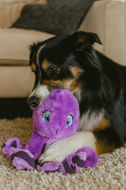 Kong Softseas Oktopus Groß