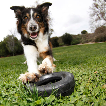 AnimalstoreXL Kong Traxx Zwart Medium Large 11cm