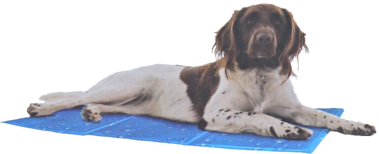 AnimalstoreXL Kowloon Cool Mat Blauw Bubble Large 90x50cm