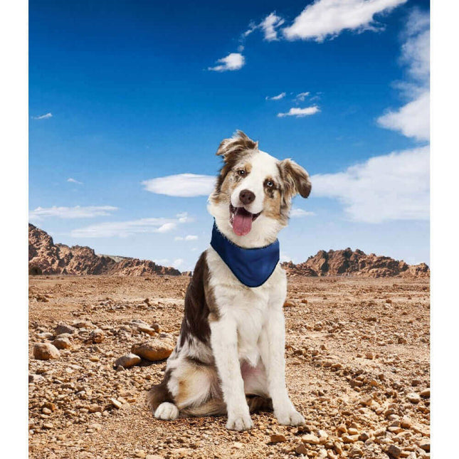 AnimalstoreXL Kowloon Koelbandana Donkerblauw Small 30-35cm