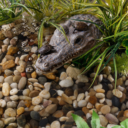 AnimalstoreXL Krokodil Schildpadeiland