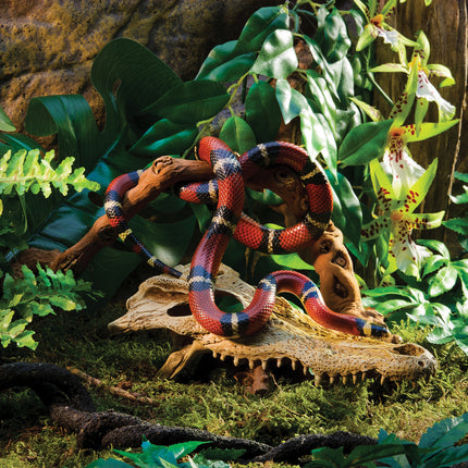 AnimalstoreXL Krokodillenschedel 23x12x7,5cm