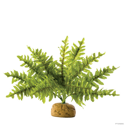 AnimalstoreXL Kunstplant Boston Fern S