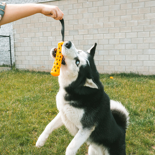 Laat Me Lachen Stock Orange/Schwarz S - L