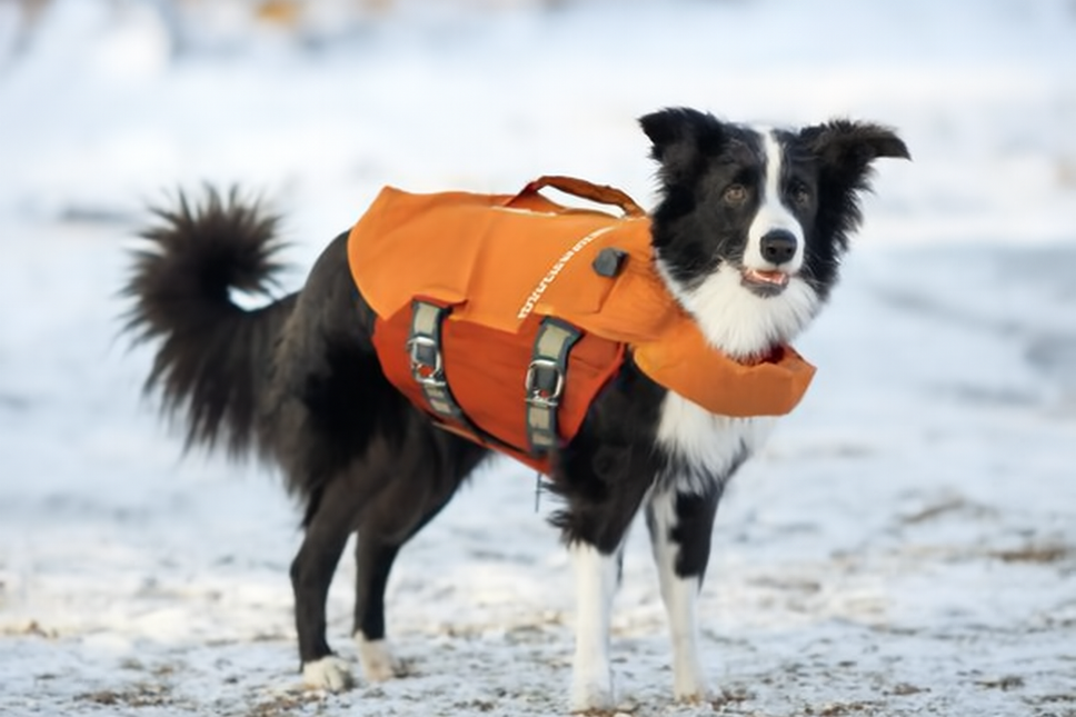 Life Savior Eco Sanddorn 20-30kg 934276