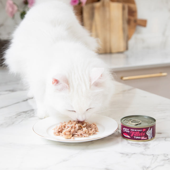 AnimalstoreXL Edgard & Cooper Kat Tonijnfilets & Kip Graanvrij