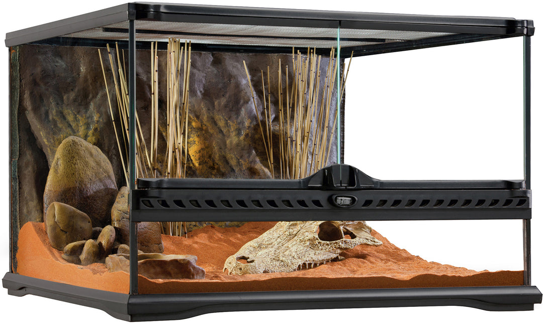 AnimalstoreXL Luipaardgekko Startpakket