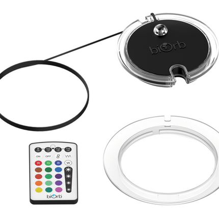 AnimalstoreXL MCR-licht met afstandsbediening small zwart