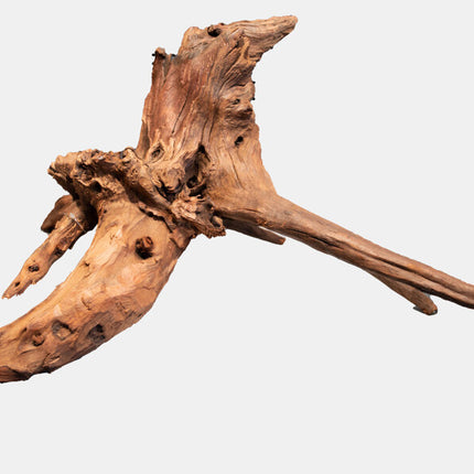 AnimalstoreXL Mangrove Aged Wood Extra Large