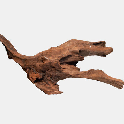 AnimalstoreXL Mangrove Aged Wood Medium