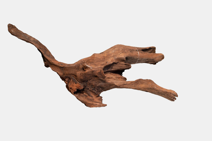 AnimalstoreXL Mangrove Aged Wood Medium