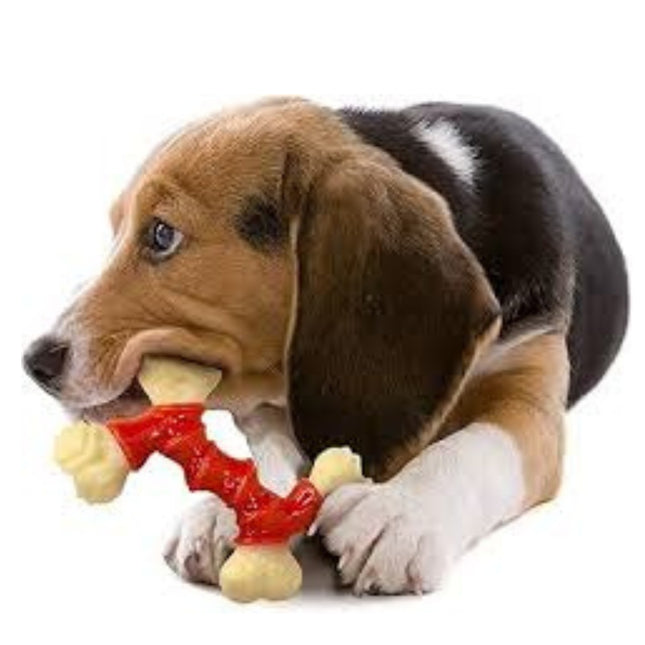 Nylabone Doppelbogen mit Speck