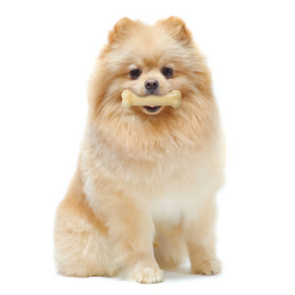 Nylabone Riesen-Bot Original