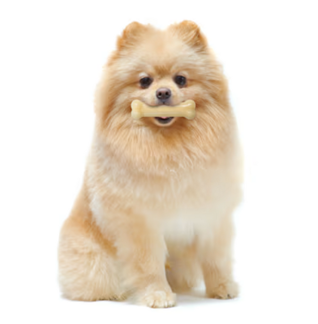 Nylabone Riesen-Bot Original