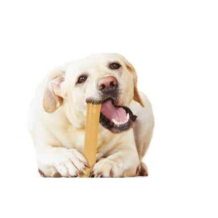 Nylabone Riesen-Bot Erdnussbutter