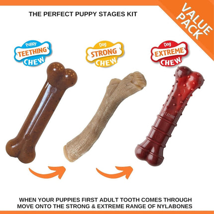 Nylabone Welpen-Stufen-Pack M