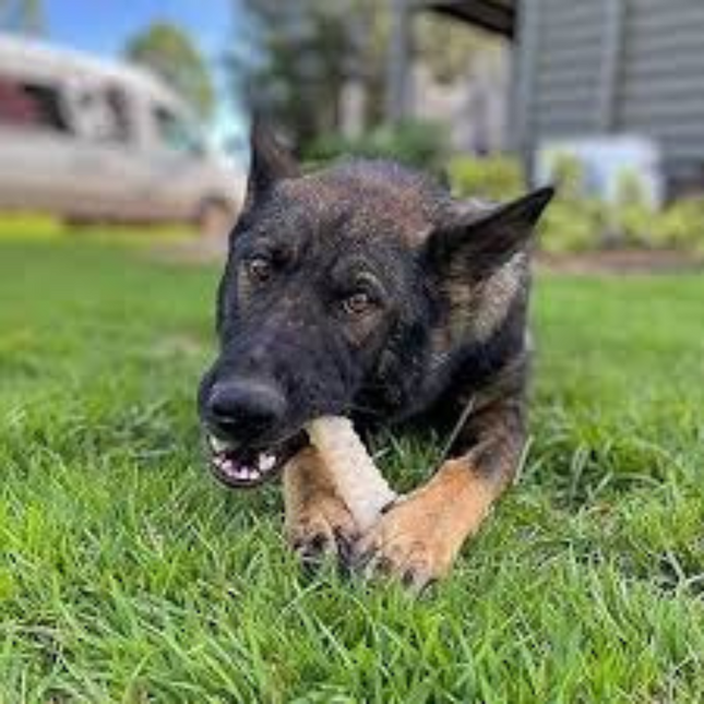 Nylabone Souper Bot Original