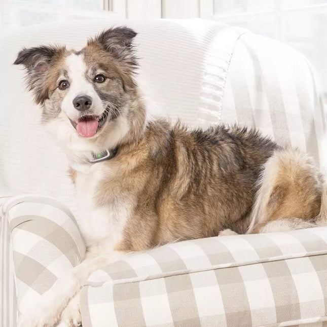 AnimalstoreXL Petsafe Cartridge 3 stuks