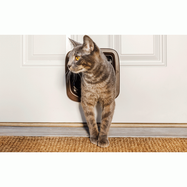 Petsafe Katzenklappe Handm. 4Lock Braun Ppa