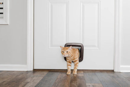 Petsafe Katzenklappe Handm. 4Lock Braun Ppa