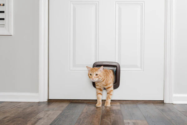 Petsafe Katzenklappe Handm. 4Lock Braun Ppa