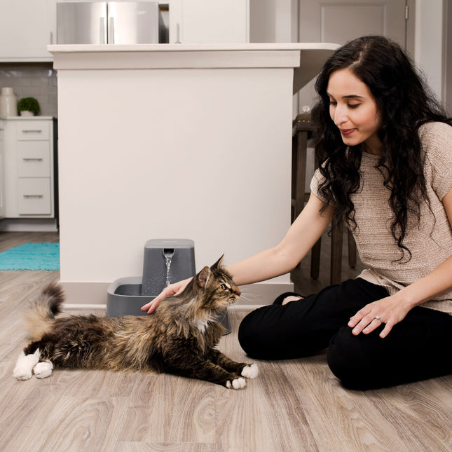 AnimalstoreXL Petsafe Drinkfontein Drinkwell 3,7 liter