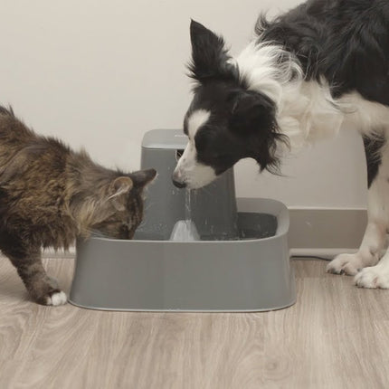 AnimalstoreXL Petsafe Drinkfontein Drinkwell 7,5 liter