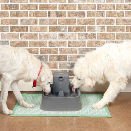 AnimalstoreXL Petsafe Drinkfontein Drinkwell 7,5 liter