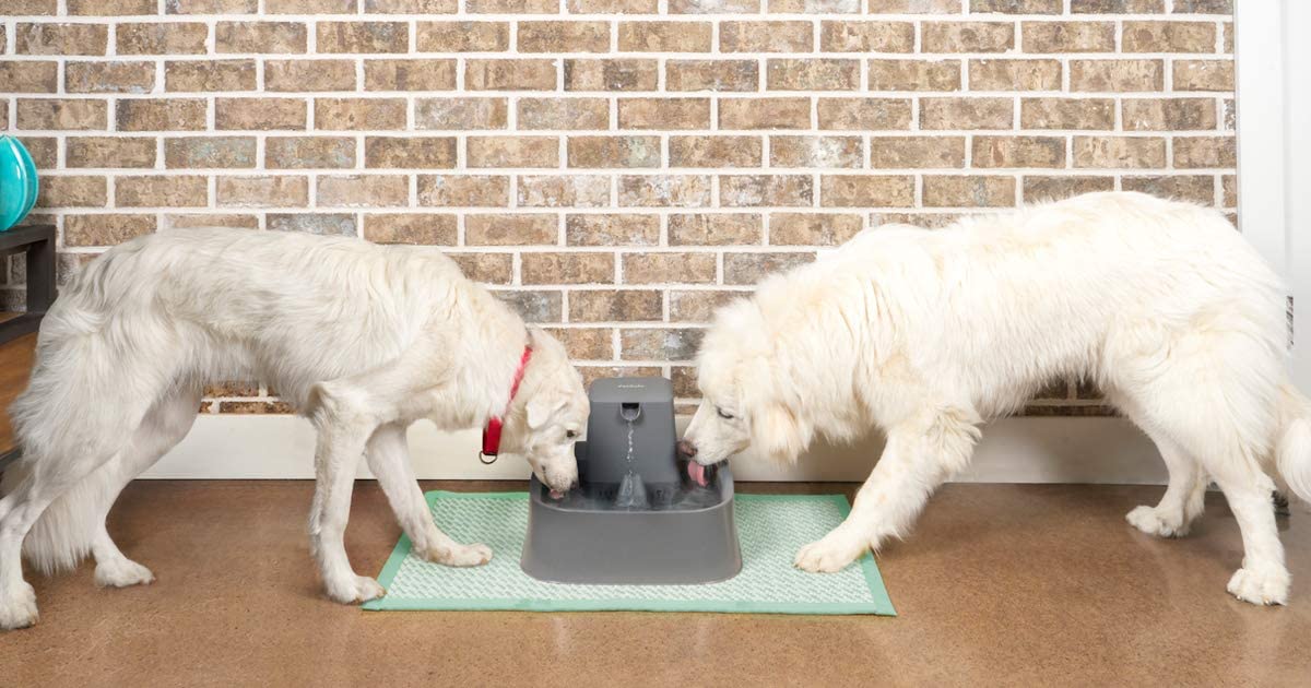 AnimalstoreXL Petsafe Drinkfontein Drinkwell 7,5 liter