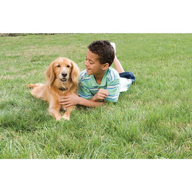 Petsafe Radiozaun mit Draht und Flaggen