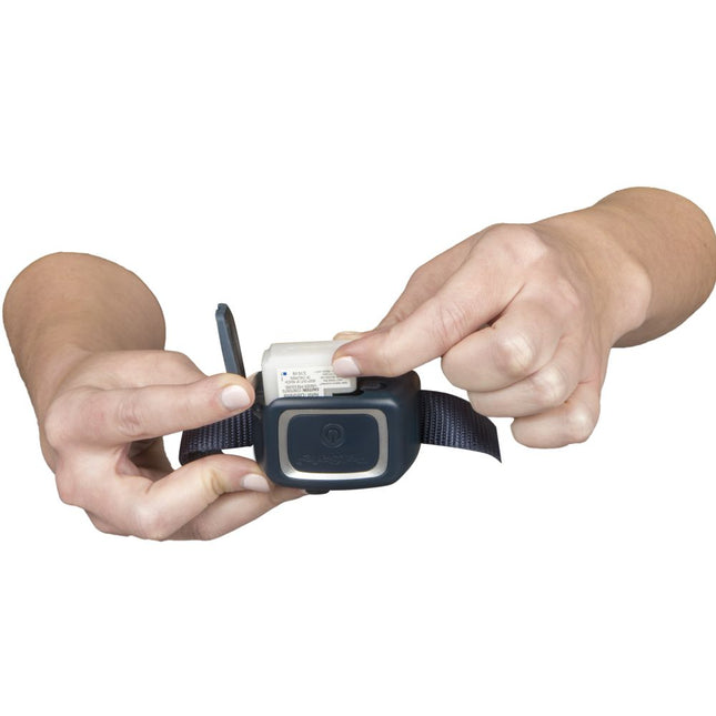 Petsafe Trainer mit Spray 300 Meter