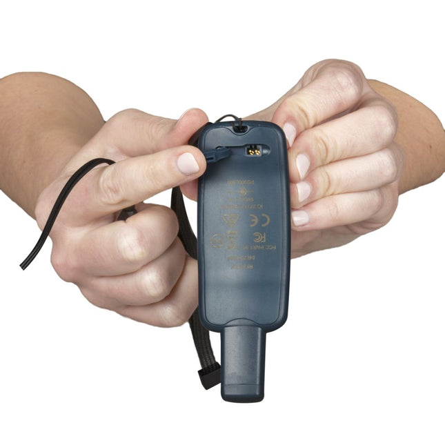 Petsafe Trainer mit Spray 300 Meter