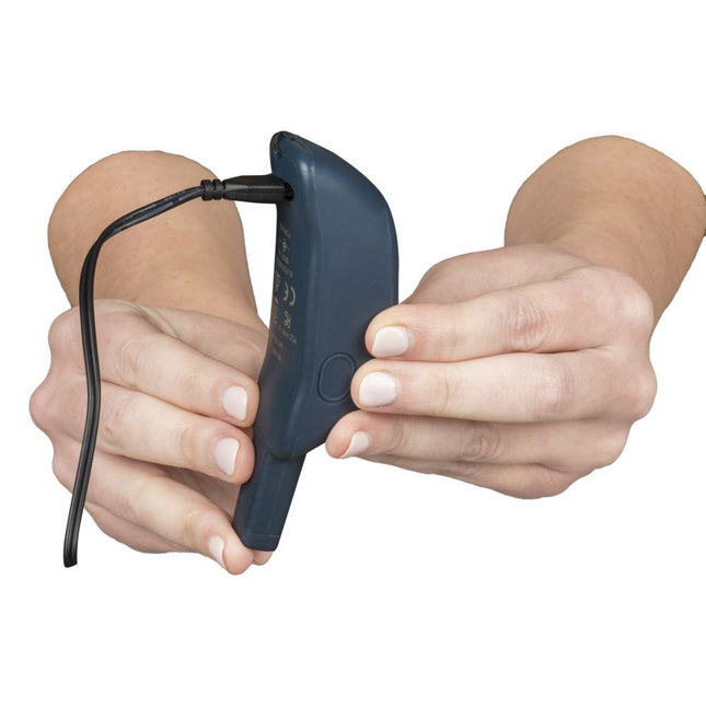 Petsafe Trainer mit Spray 300 Meter