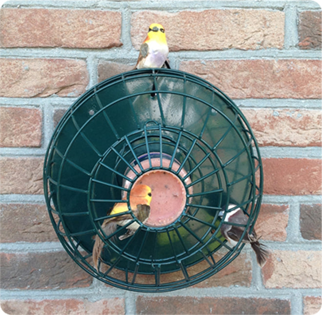 AnimalstoreXL Pindakaaspothdr.Met.Groen Kl.Vogel 25x19