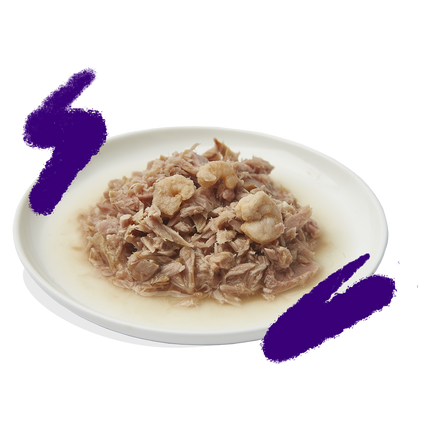 AnimalstoreXL Edgard & Cooper Kat Tonijnfilets & Garnaal Graanvrij