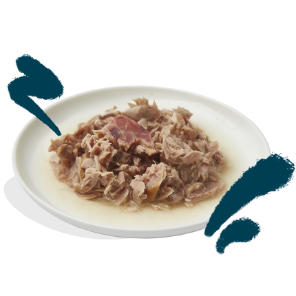 AnimalstoreXL Edgard & Cooper Kat Tonijnfilets & Inktvis Graanvrij