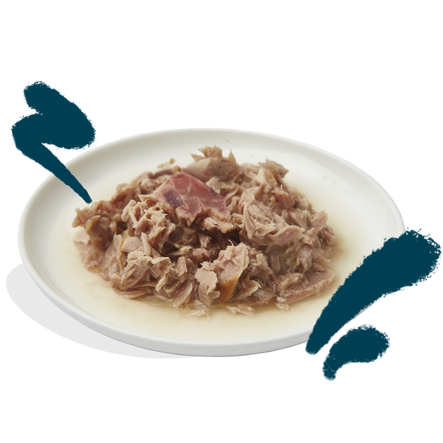 AnimalstoreXL Edgard & Cooper Kat Tonijnfilets & Inktvis Graanvrij