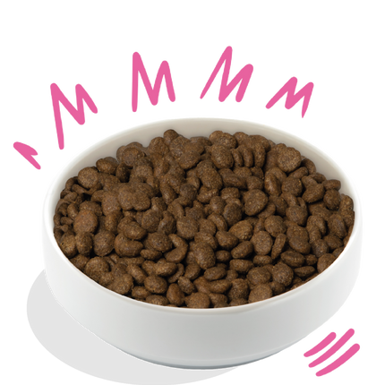 AnimalstoreXL Edgard & Cooper Plantaardige Brok Volwassen Hond Rode Biet & Pompoen