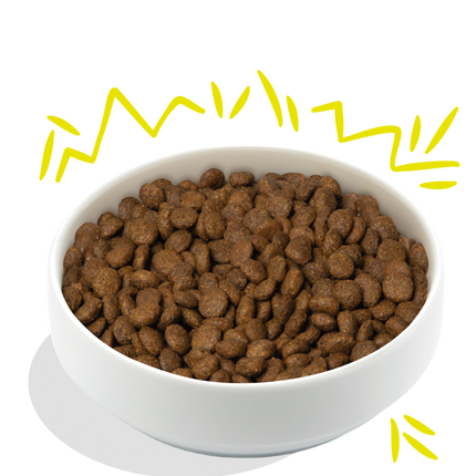 AnimalstoreXL Edgard & Cooper Plantaardige Brok Volwassen Hond Wortel & Courgette