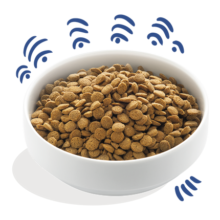 AnimalstoreXL Edgard & Cooper Brok Volwassen Hond Zalm Graanvrij