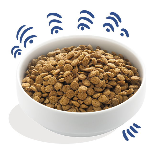 AnimalstoreXL Edgard & Cooper Brok Volwassen Hond Zalm Graanvrij